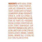 Limited Edition Holiday Treats Body Wash Cinnamon Pumpkin Pie 20 Oz 1 Count