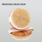 round Body Brush for Exfoliating Skin, 2 Pcs – Natural Bristles Cellulite Shower Scrubber for Wet & Dry Use