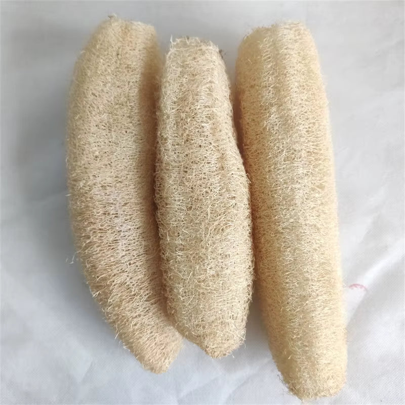Natural and Eco-Friendly Cleaning Loofah Sponge Scrubber for Kitchen Bathroom Bath Shower Pot Bowl Sponge Scrubber Spa Bathroom