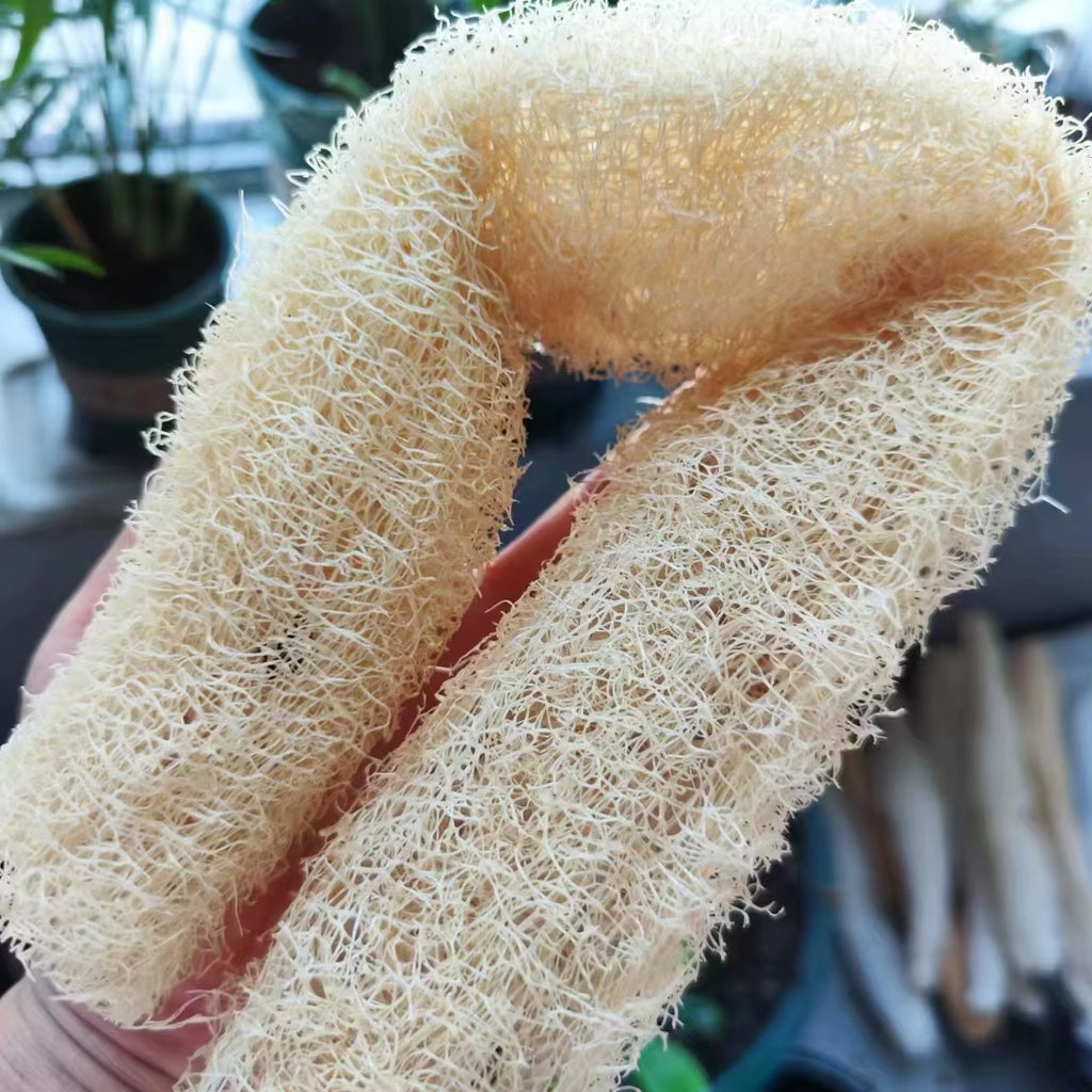Natural and Eco-Friendly Cleaning Loofah Sponge Scrubber for Kitchen Bathroom Bath Shower Pot Bowl Sponge Scrubber Spa Bathroom
