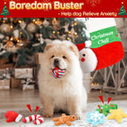 9 Pack Christmas Stocking Dog Toys, Xmas Toys Gift for Puppies Small Large Dogs
