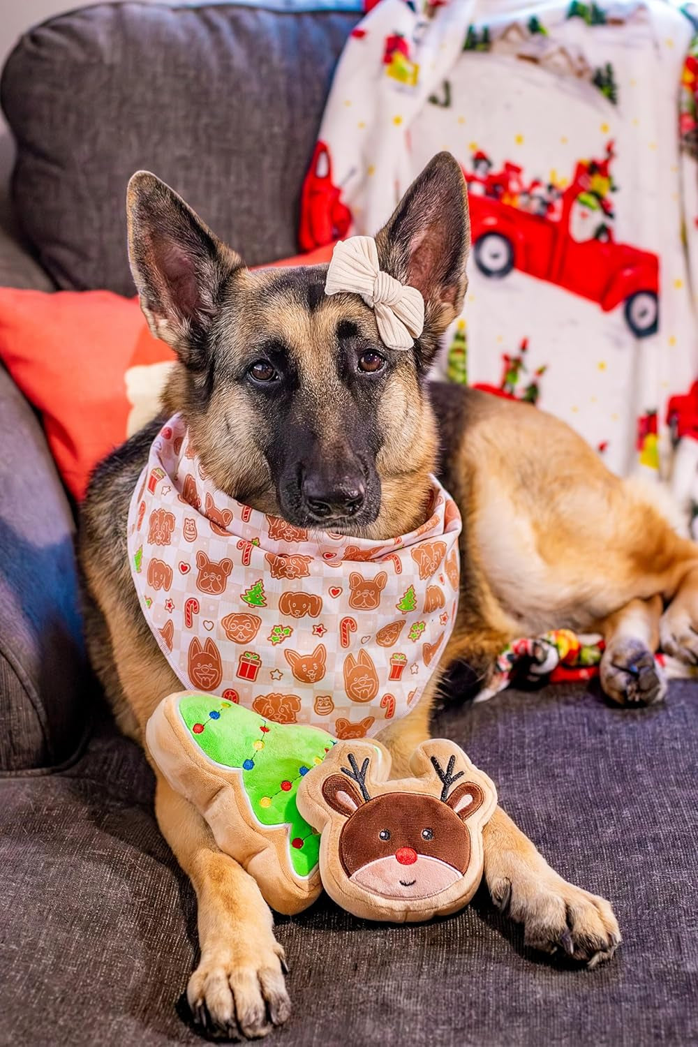 Christmas Sugar Cookie Plush Dog Toy (Christmas Tree, Large)- Squeaky Holiday Pet Gift Toy