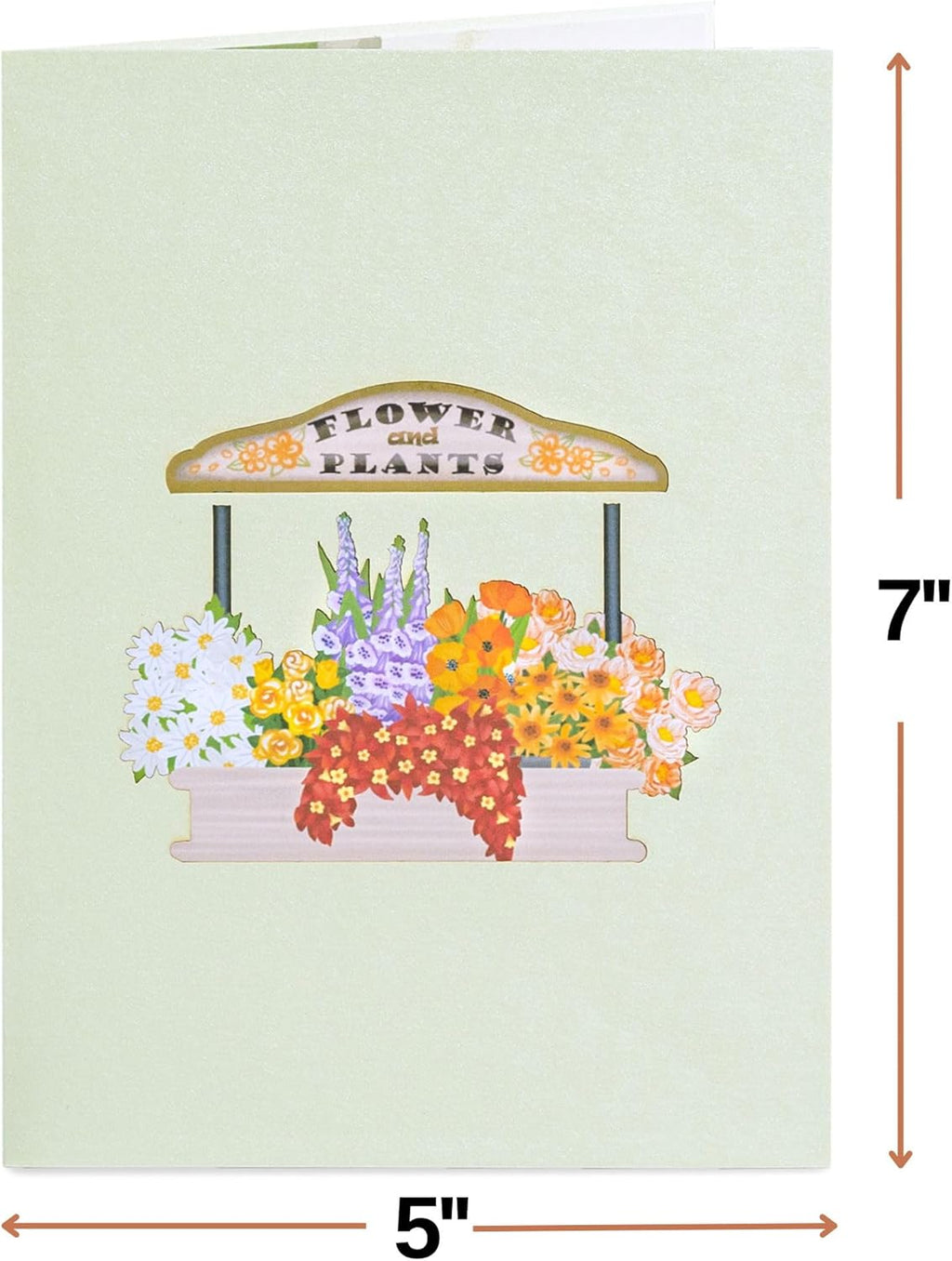 3D Flower Bike Pop up Card, Handmade Fall Greeting Cards for Autumn, Birthday, Thanksgiving, Halloween, Thinking of You, All Occasion or Just Because | 5" X 7" Includes Envelope and Note