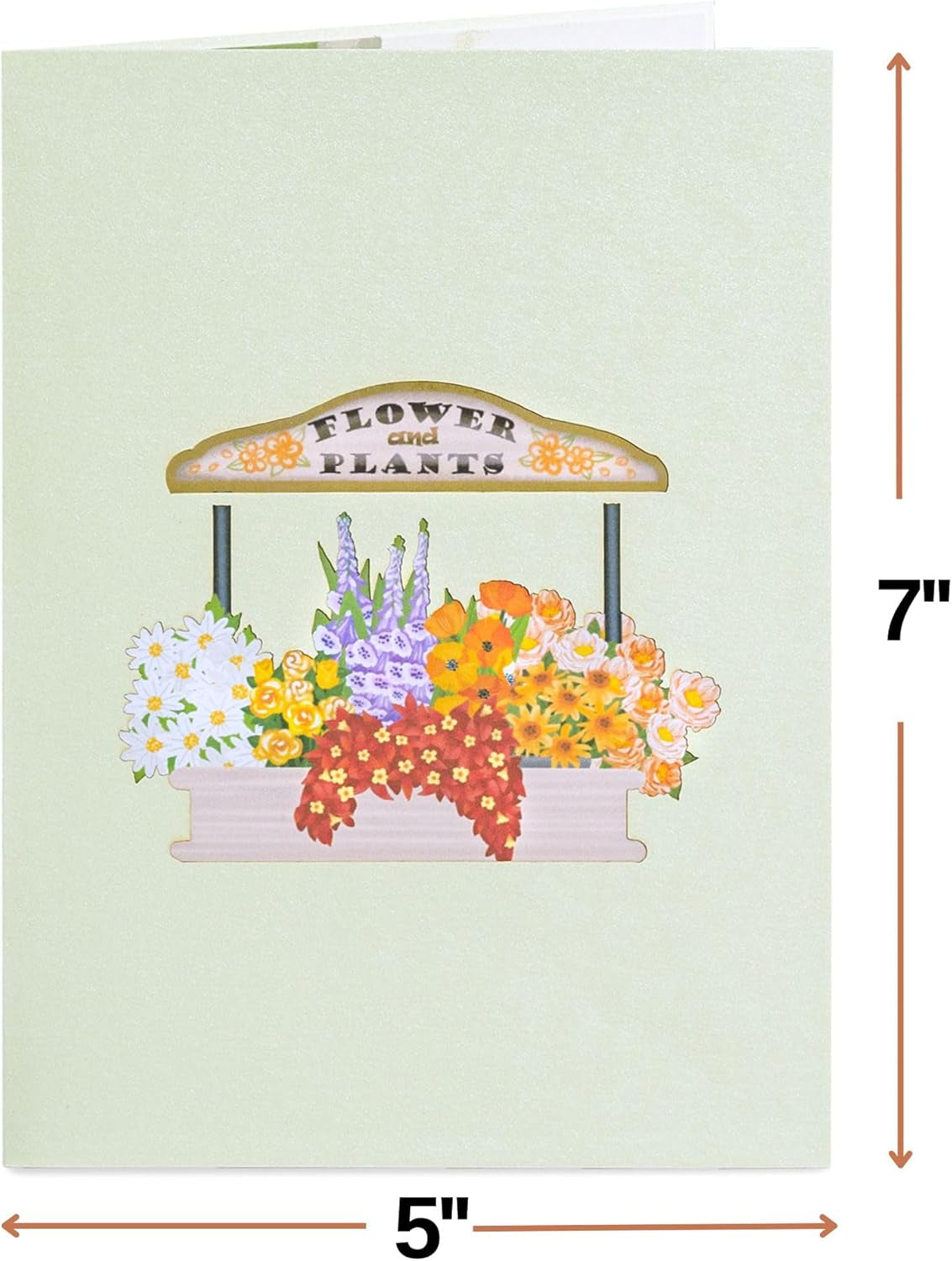 3D Flower Bike Pop up Card, Handmade Fall Greeting Cards for Autumn, Birthday, Thanksgiving, Halloween, Thinking of You, All Occasion or Just Because | 5" X 7" Includes Envelope and Note