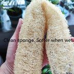 Natural and Eco-Friendly Cleaning Loofah Sponge Scrubber for Kitchen Bathroom Bath Shower Pot Bowl Sponge Scrubber Spa Bathroom