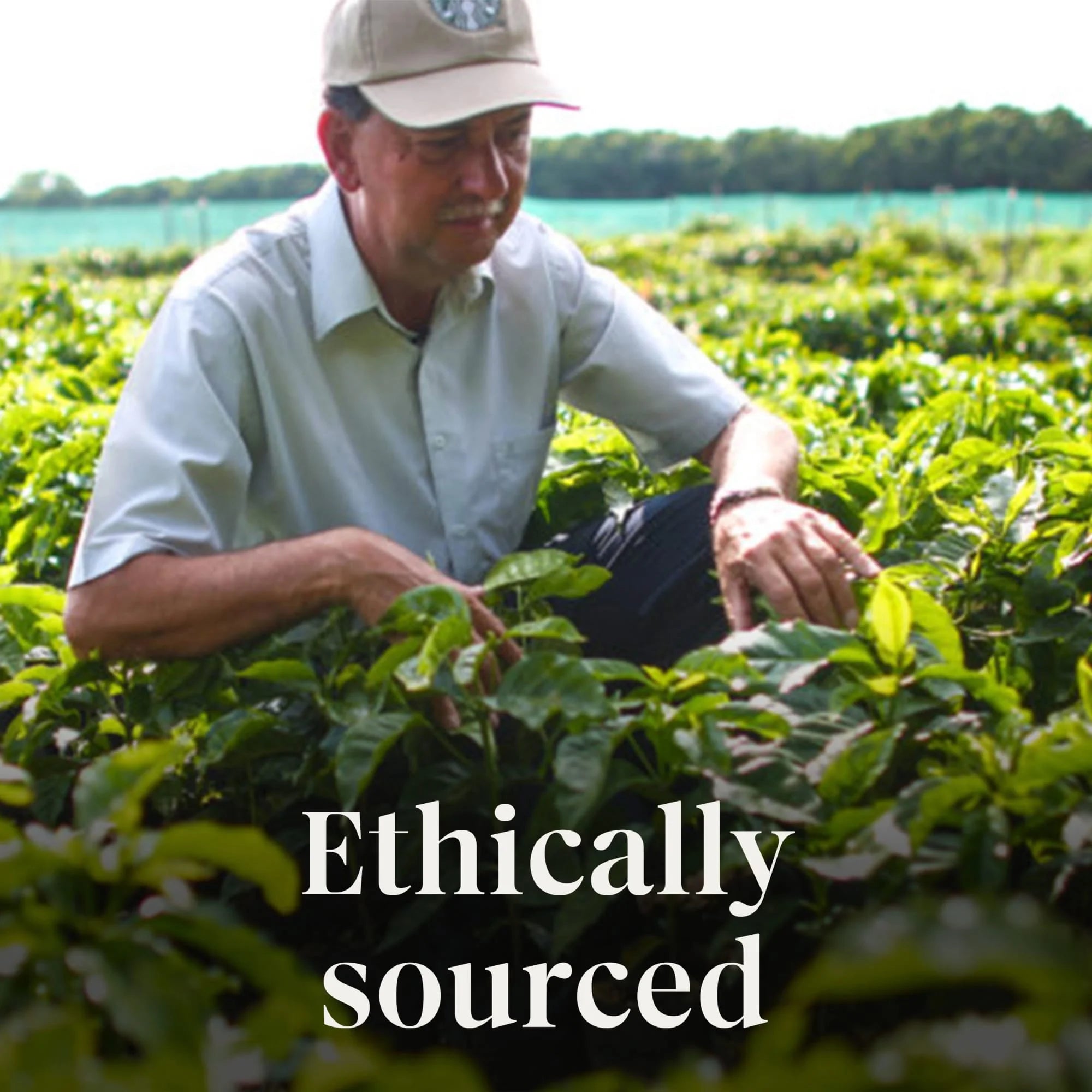 Starbucks Pumpkin Spice Flavored Coffee, Keurig K-Cup Coffee Pods, 100% Arabica, 22 Count