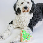 Christmas Sugar Cookie Plush Dog Toy (Christmas Tree, Large)- Squeaky Holiday Pet Gift Toy