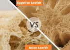 2 Natural Egyptian Loofahs Exfoliating Scrubber for Shower, Natural Loofah Sponge Body Scrubber, Deep Clean & Invigorate Your Skin, for Men and Women