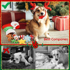 9 Pack Christmas Stocking Dog Toys, Xmas Toys Gift for Puppies Small Large Dogs