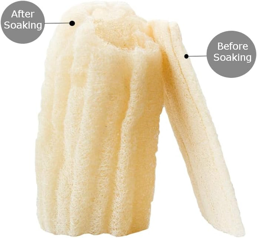 2 Natural Egyptian Loofahs Exfoliating Scrubber for Shower, Natural Loofah Sponge Body Scrubber, Deep Clean & Invigorate Your Skin, for Men and Women