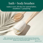 Dry Body Brush, Cruelty-Free Bristles Exfoliate & Smooth Skin, Dry Brushing Removes Flaky Skin, May Help Improve Circulation & Tone, Eco-Friendly Skincare Tool, Vegan & Cruelty-Free, 1 Count
