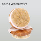 round Body Brush for Exfoliating Skin, 2 Pcs – Natural Bristles Cellulite Shower Scrubber for Wet & Dry Use
