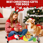 Christmas Dog Toys, Puppy Chew Toy for Teething and Training with Gift Bag, Tough Xmas Gift Plush Squeaky Toy for Small Dogs