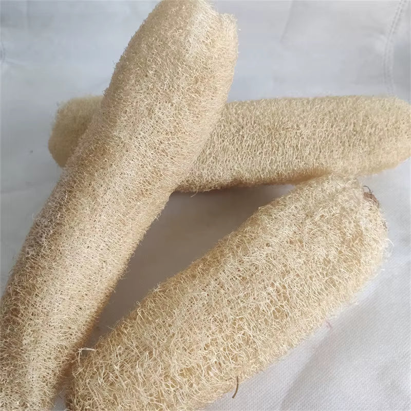 Natural and Eco-Friendly Cleaning Loofah Sponge Scrubber for Kitchen Bathroom Bath Shower Pot Bowl Sponge Scrubber Spa Bathroom