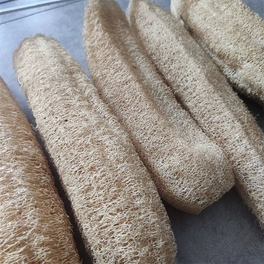 Natural and Eco-Friendly Cleaning Loofah Sponge Scrubber for Kitchen Bathroom Bath Shower Pot Bowl Sponge Scrubber Spa Bathroom