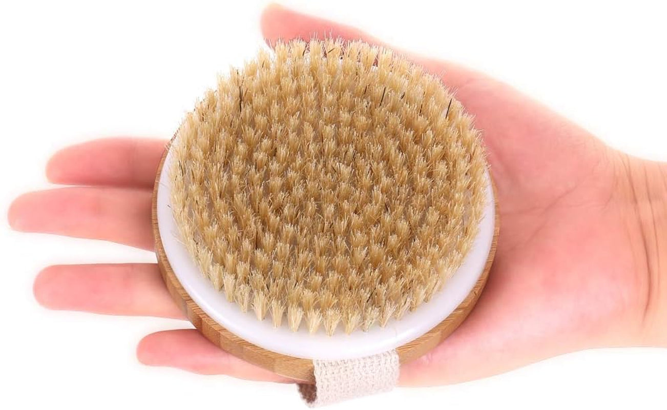 round Body Brush for Exfoliating Skin, 2 Pcs – Natural Bristles Cellulite Shower Scrubber for Wet & Dry Use