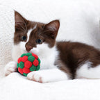 Funny Cat Toy Stretch Ball Juguetes Cats Creative Colorful Interactive Plush Toy for Christmas